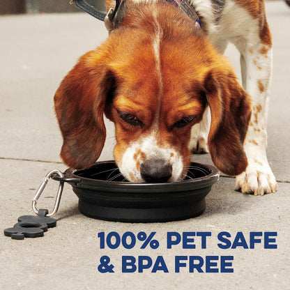 Bonza Large Collapsible Dog Bowl 1000 mL, Sturdy Reinforced Rim, Includes Carabiner & Water Bottle Holder Keychain